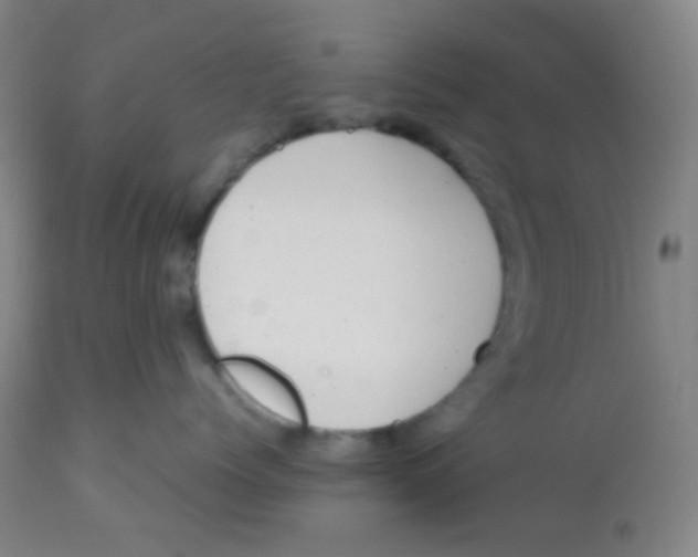X0000113760768200910211209