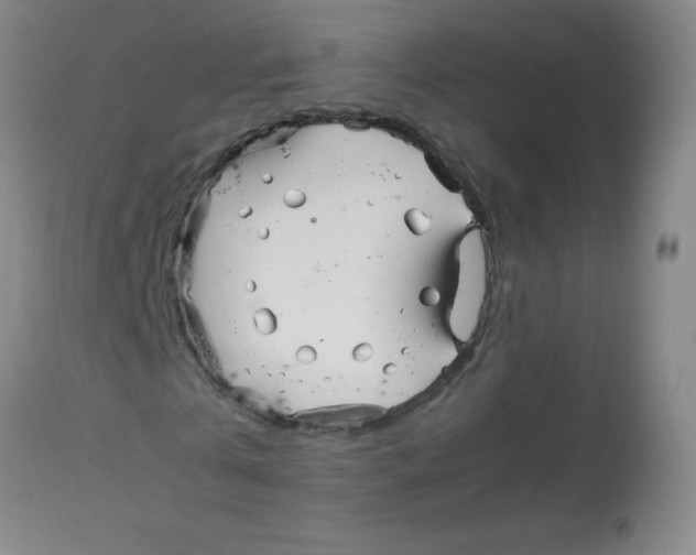 X0000113760769200910211208