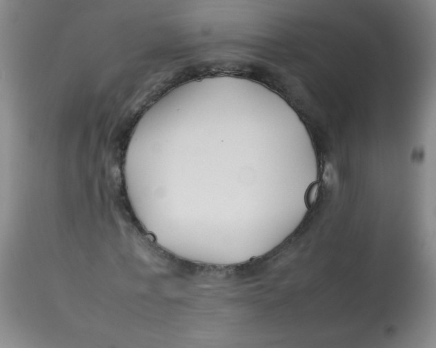 X0000113760771200910211208