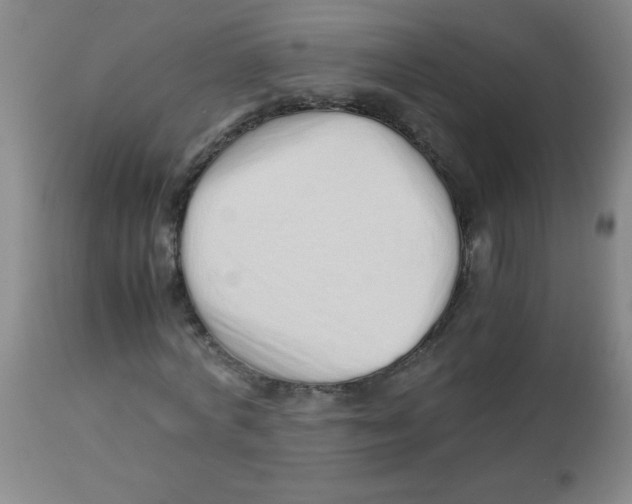 X0000113760772200910211208