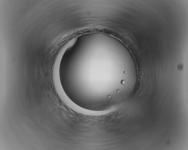 X0000113760773200910211208