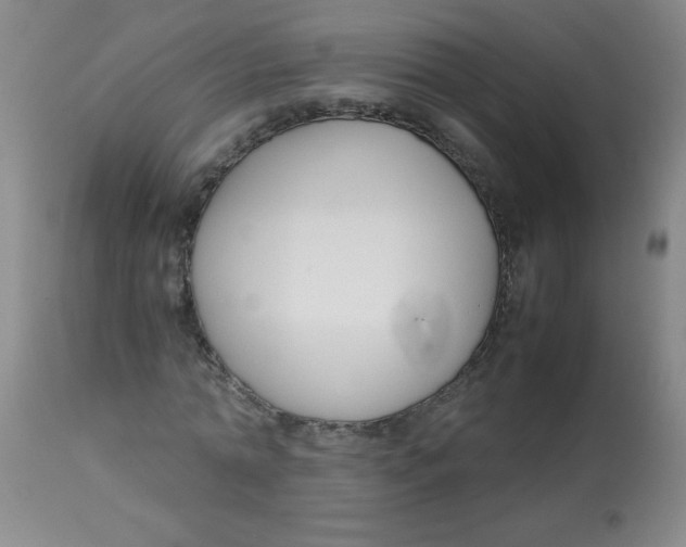 X0000113760774200910211208