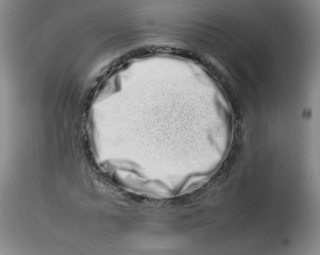 X0000113760775200910211208