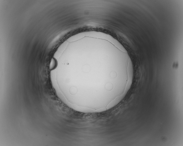 X0000113760776200910211208