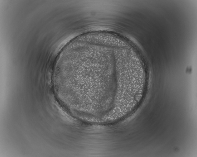 X0000113760777200910211208