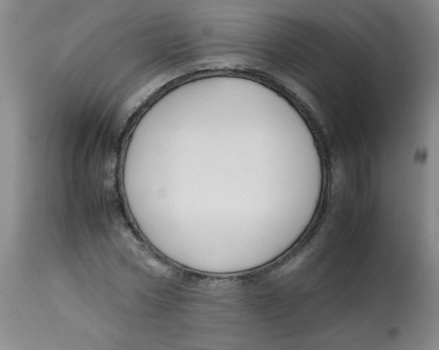 X0000113760778200910211208