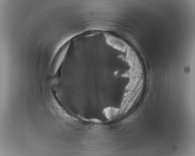 X0000113760779200910211208