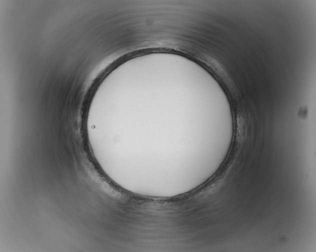 X0000113760780200910211208