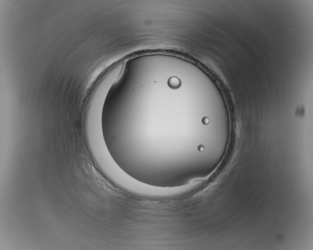 X0000113760781200910211208