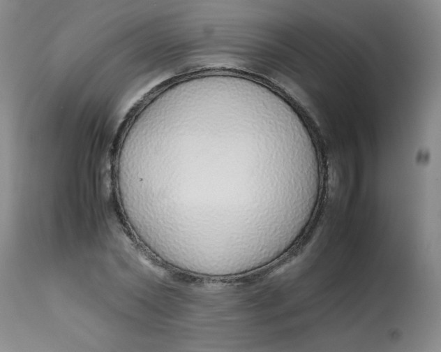 X0000113760782200910211208