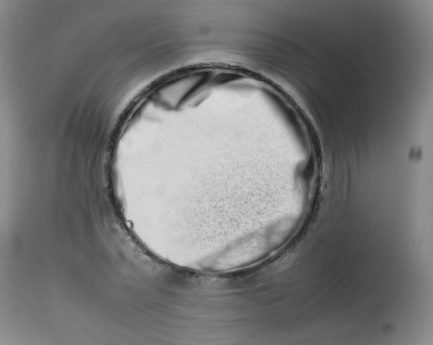 X0000113760783200910211208
