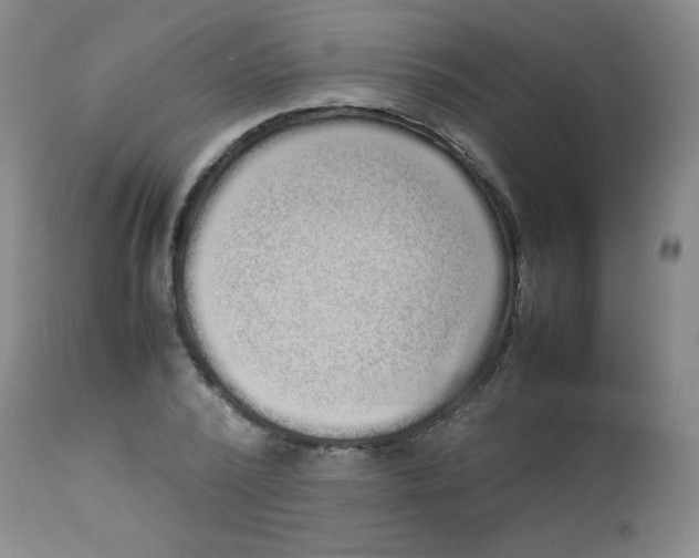 X0000113760784200910211208