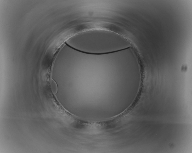 X0000113760785200910211208