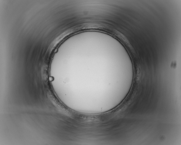 X0000113760786200910211208
