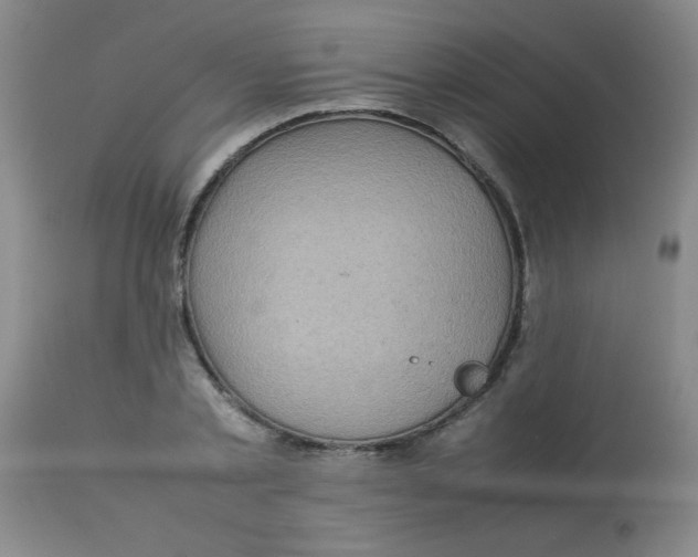 X0000113760789200910211208