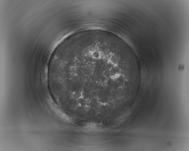 X0000113760790200910211208