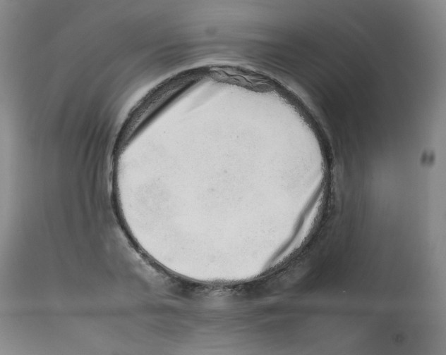 X0000113760791200910211208