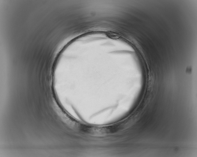 X0000113760795200910211208