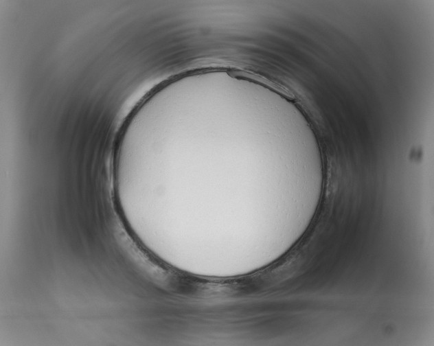 X0000113760796200910211208