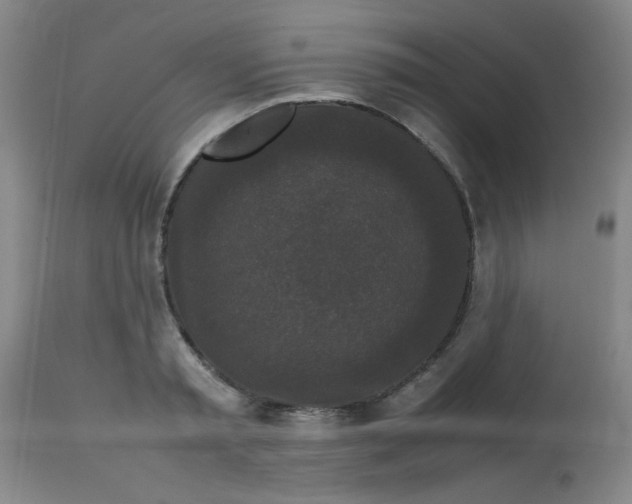 X0000113760797200910211208