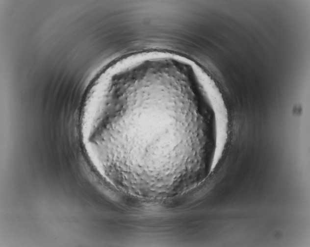 X0000113760798200910211208