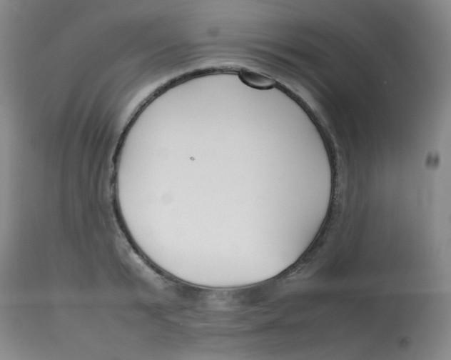 X0000113760799200910211208