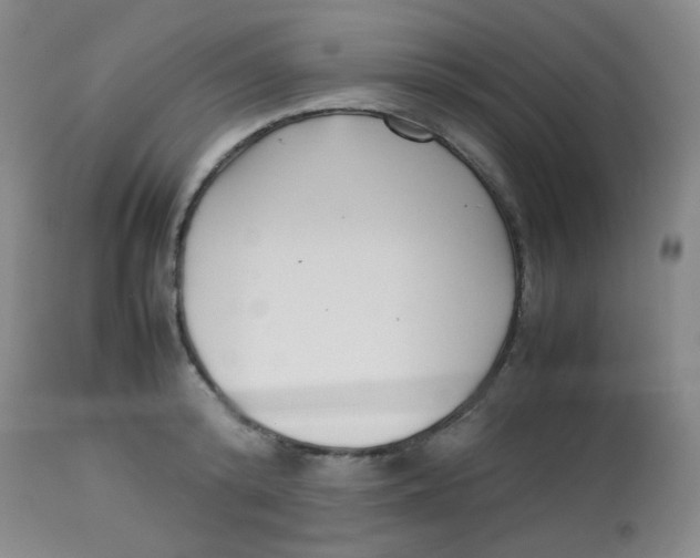 X0000113760800200910211208