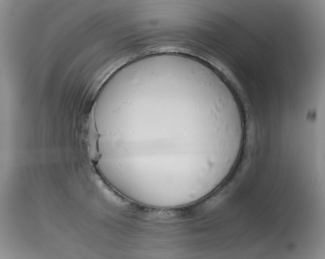 X0000113760801200910211208