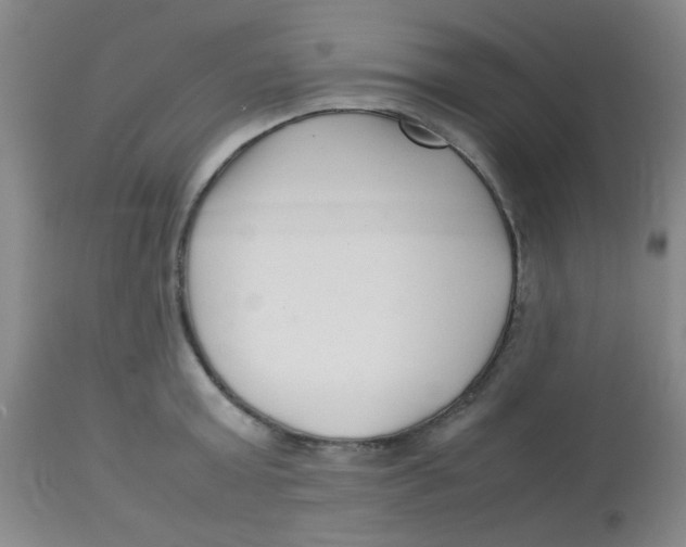 X0000113760803200910211208