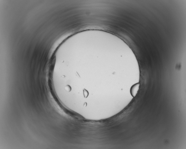 X0000113760804200910211208