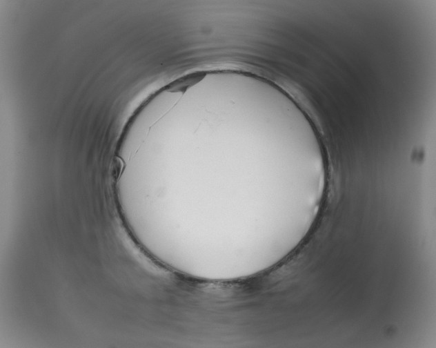 X0000113760805200910211208