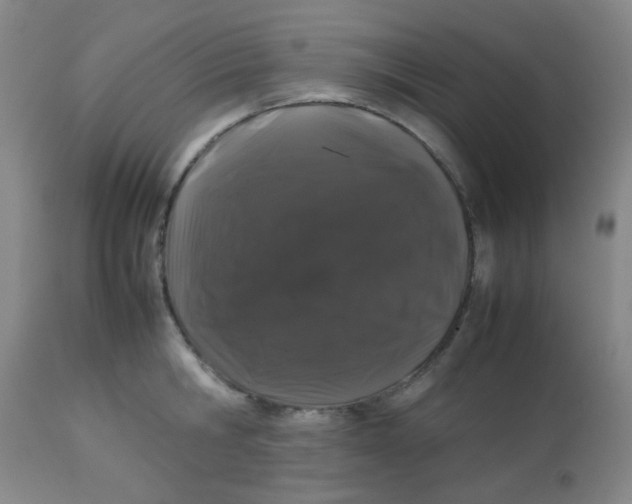 X0000113760806200910211208