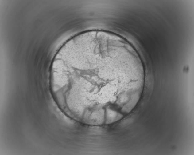 X0000113760807200910211208