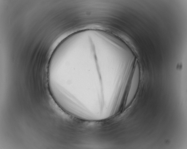 X0000113760808200910211208