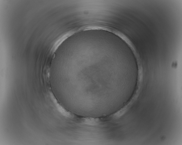 X0000113760809200910211208