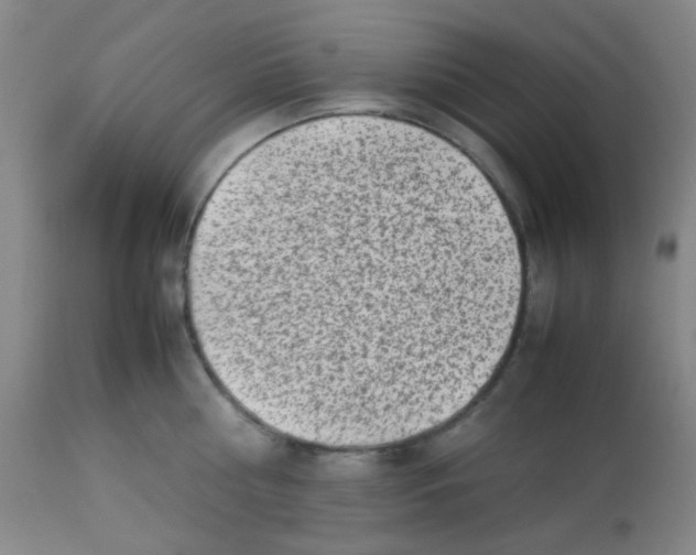 X0000113760810200910211208