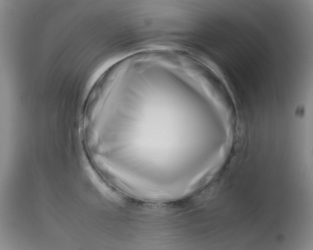 X0000113760811200910211208