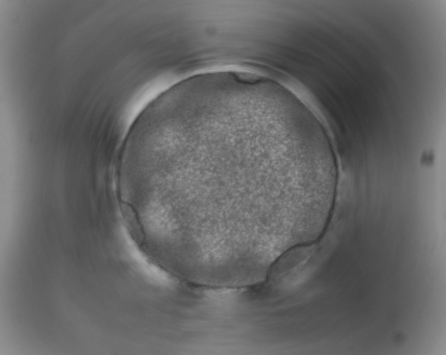 X0000113760813200910211208