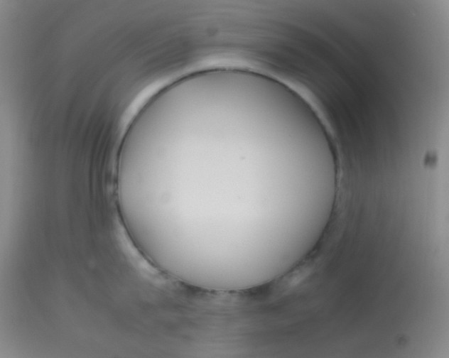 X0000113760815200910211208