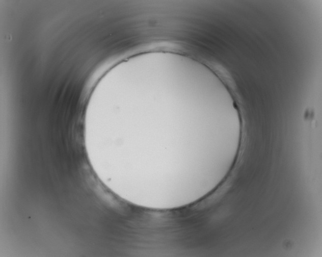 X0000113760816200910211208
