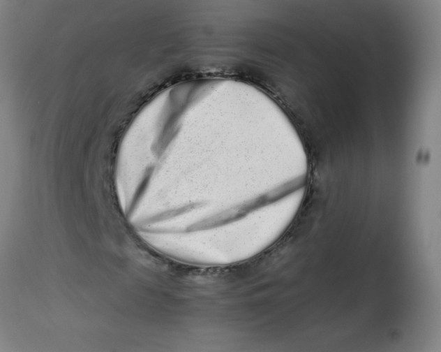 X0000113760817200910211207