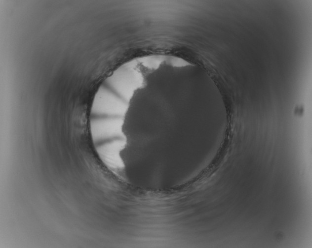 X0000113760818200910211207
