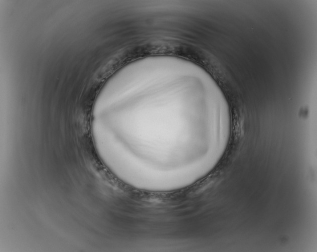 X0000113760819200910211207