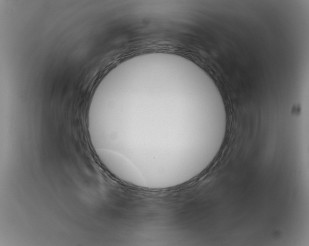 X0000113760820200910211207