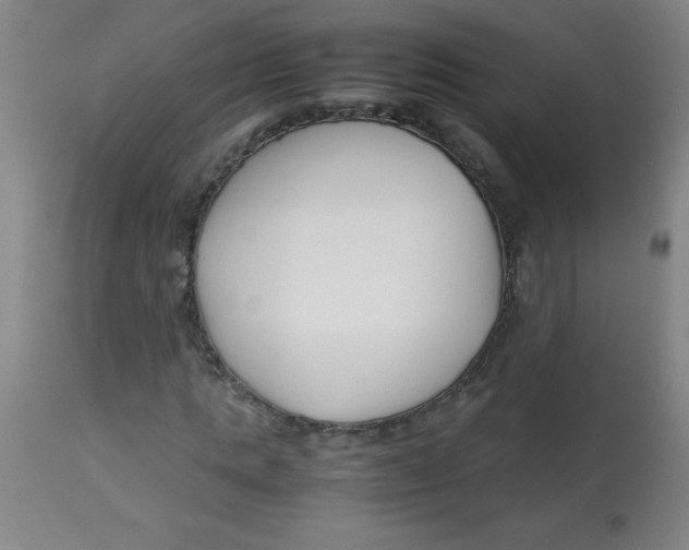 X0000113760821200910211207