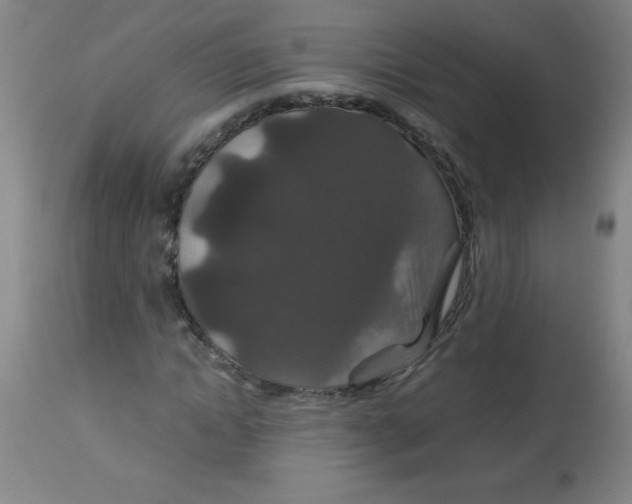 X0000113760822200910211207