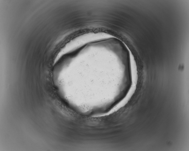 X0000113760823200910211207