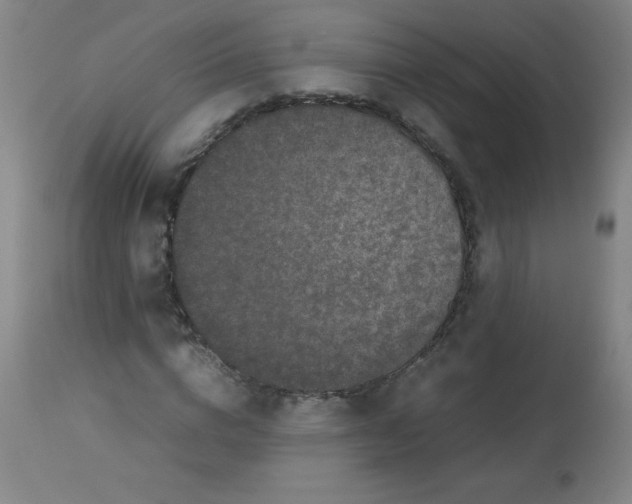 X0000113760824200910211207