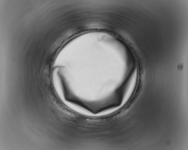 X0000113760825200910211207