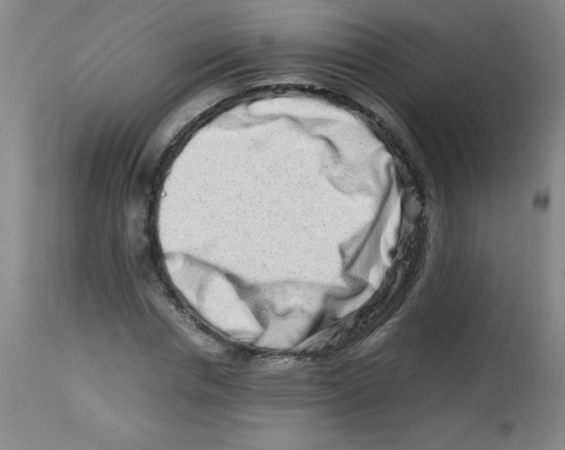 X0000113760826200910211207